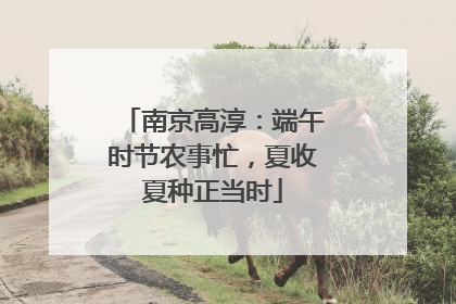 南京高淳：端午时节农事忙，夏收夏种正当时